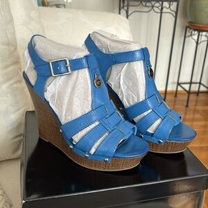 New Blue wedges